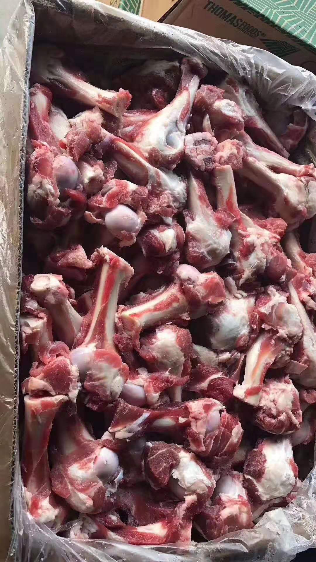 批发羊棒骨 羔羊多肉棒骨 大羊多肉棒骨 育肥羊棒骨 羊干棒骨