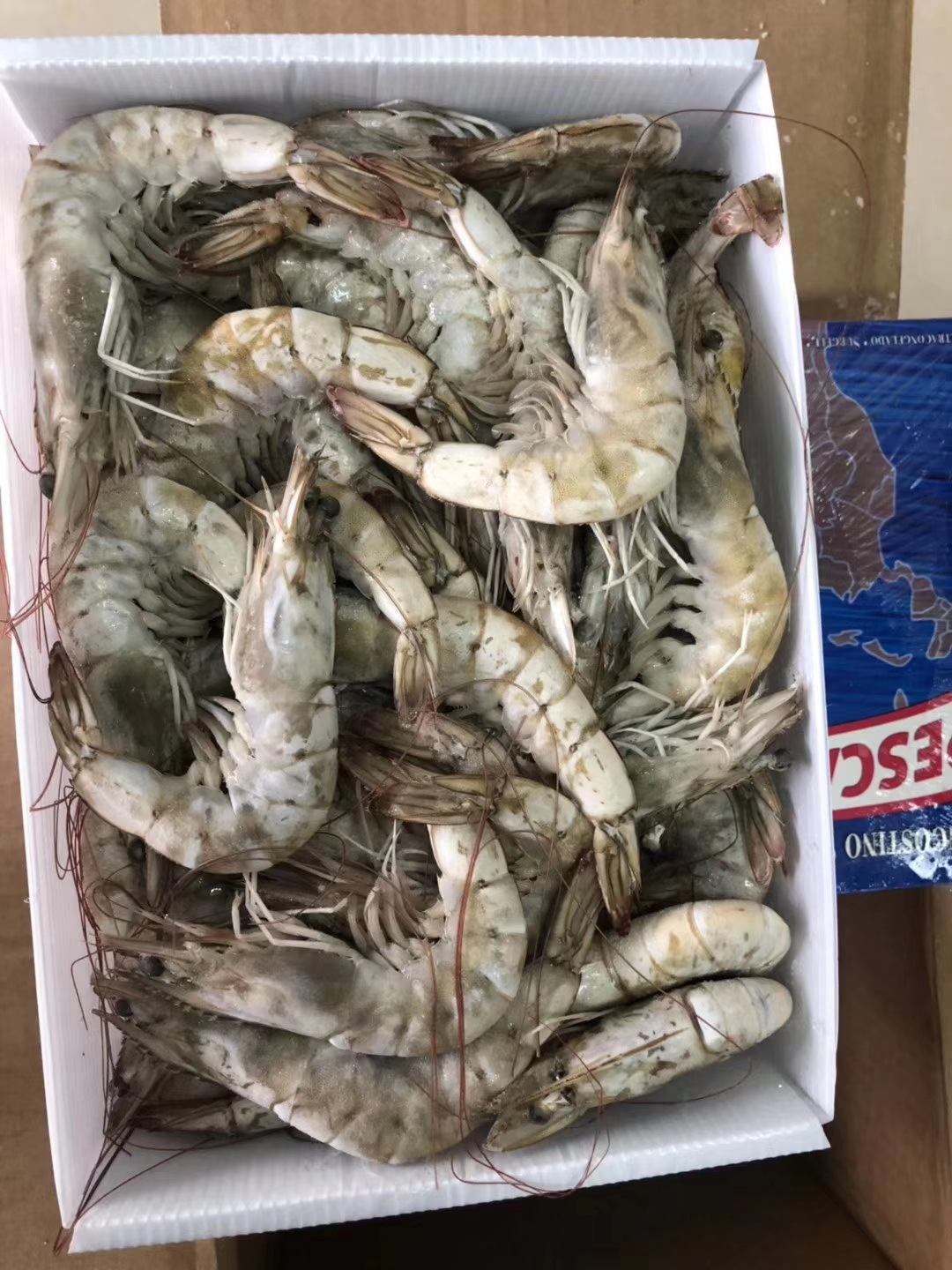 【海之林】老船长牌盐冻厄瓜多尔白虾大虾冷冻水产1箱6盒*2kg/盒