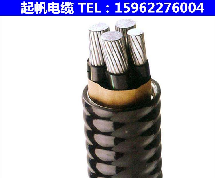 什么叫自锁铠装结构_自锁铝铠装是什么意思_铠装铝芯电缆型号