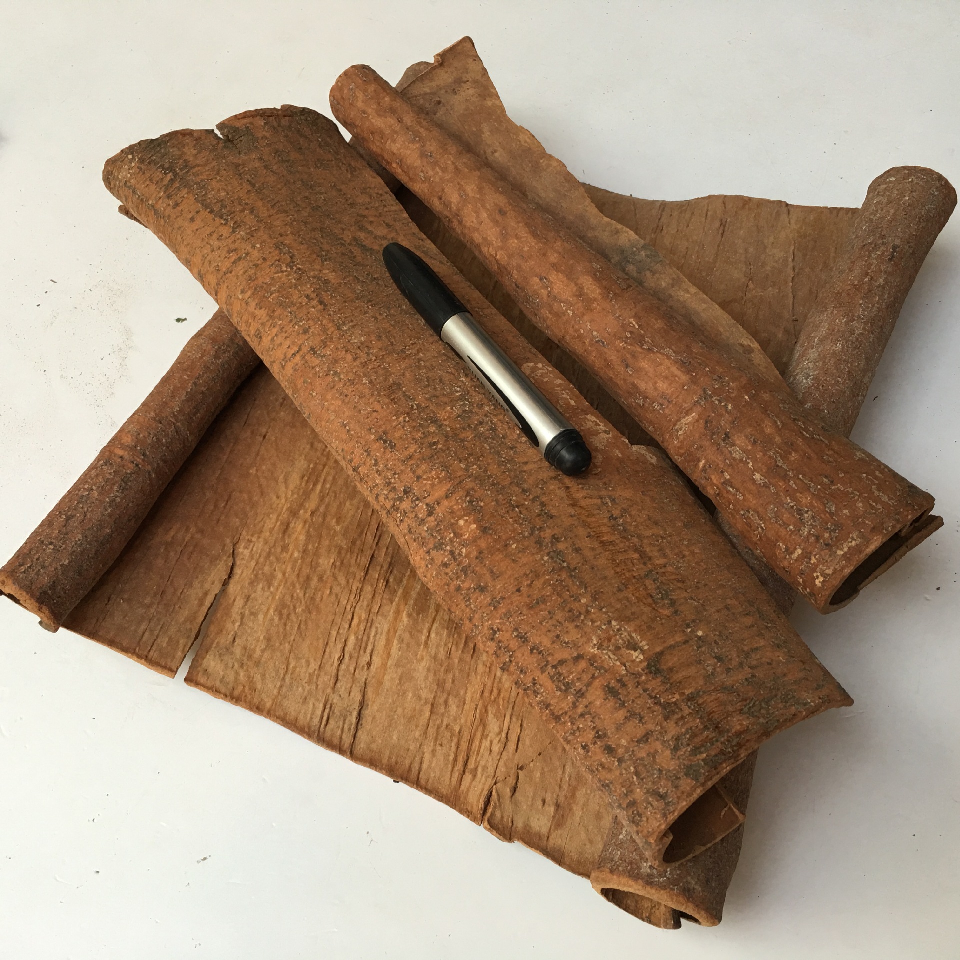 越西 紫油桂 油性好 皮厚 肉桂 桂皮 去皮 肉桂片h