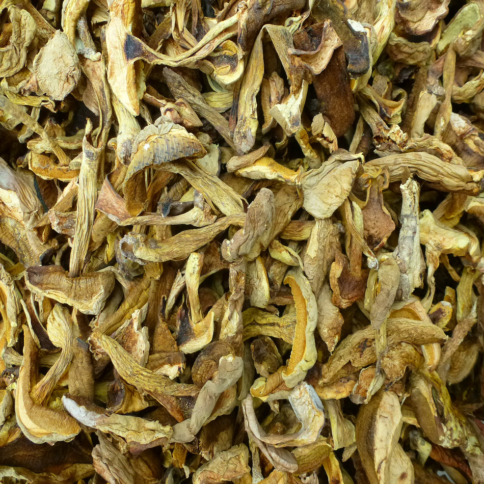 【裕菌隆】 黄香菌 野生牛肝菌 黄牛肝菌干货 火锅店黄牛肝菌批发