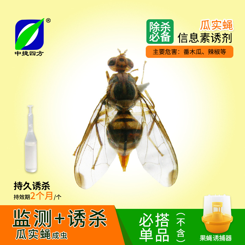 中捷四方昆虫信息素瓜实蝇引诱剂2ml昆虫信息素昆虫诱芯引诱剂