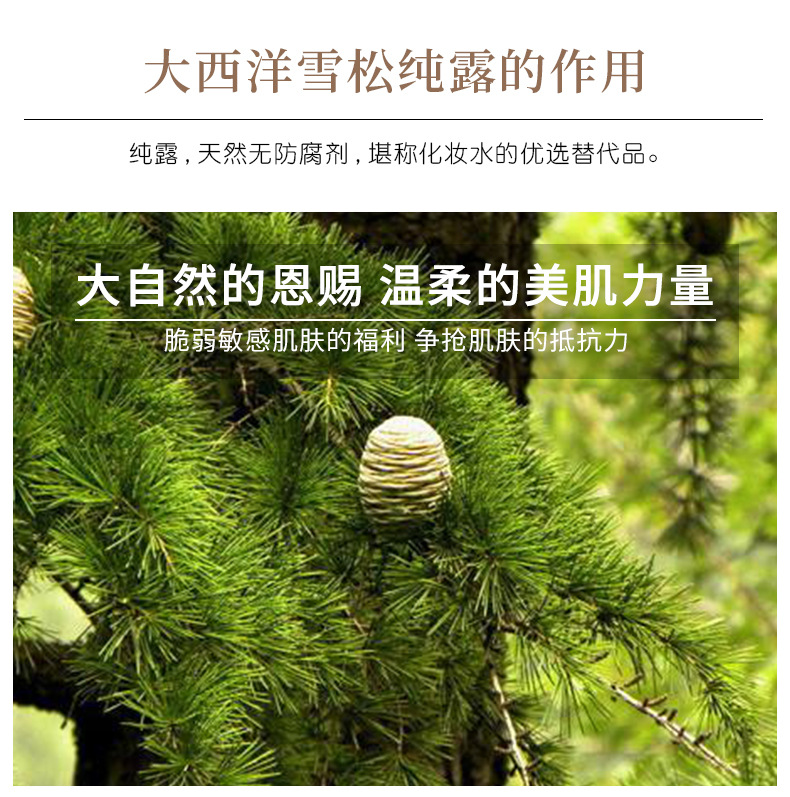 大西洋雪松纯露 头道饱和未提油无添加面膜爽肤水化妆水原料