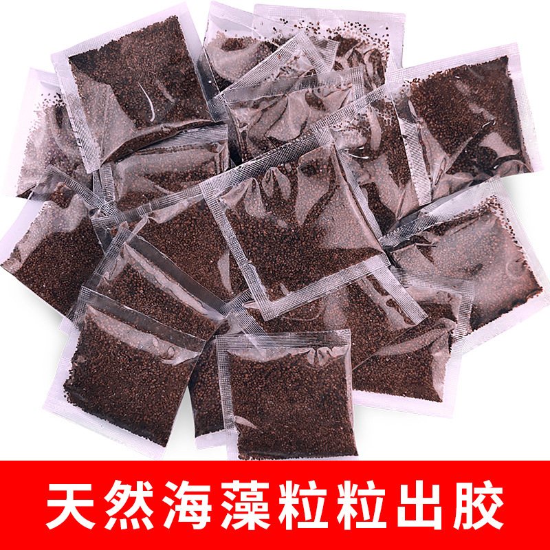 小袋装美容院专用海藻面膜颗粒天然补水保湿纯海藻泥孕妇睡眠正品