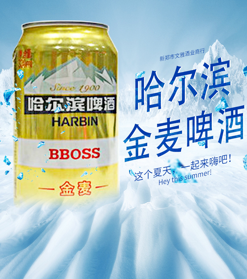 批发哈尔滨啤酒哈啤哈啤畅享哈啤金麦啤酒330ml听装大量现货供应