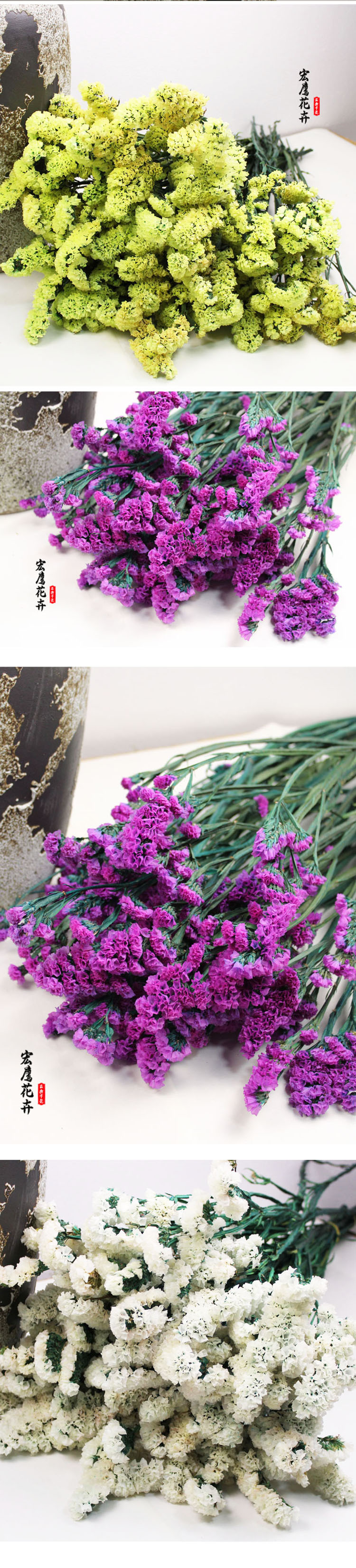 勿忘我干花 天然干花 花艺diy 艺术插花仿真花 拍照道具 厂家批发