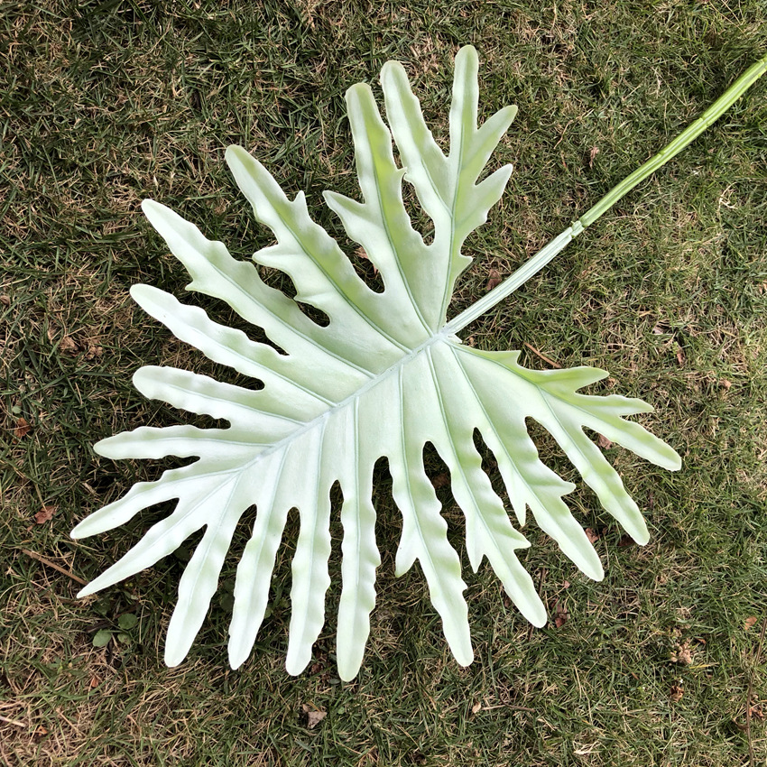 仿真绿色叶子厂家 金叶葵叶龟背叶苹果叶柳叶 森系婚礼配叶批发