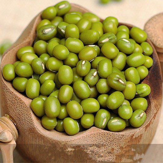 农家特产东北绿豆 绿小豆 笨绿豆 大绿豆 小绿豆各种五谷杂粮
