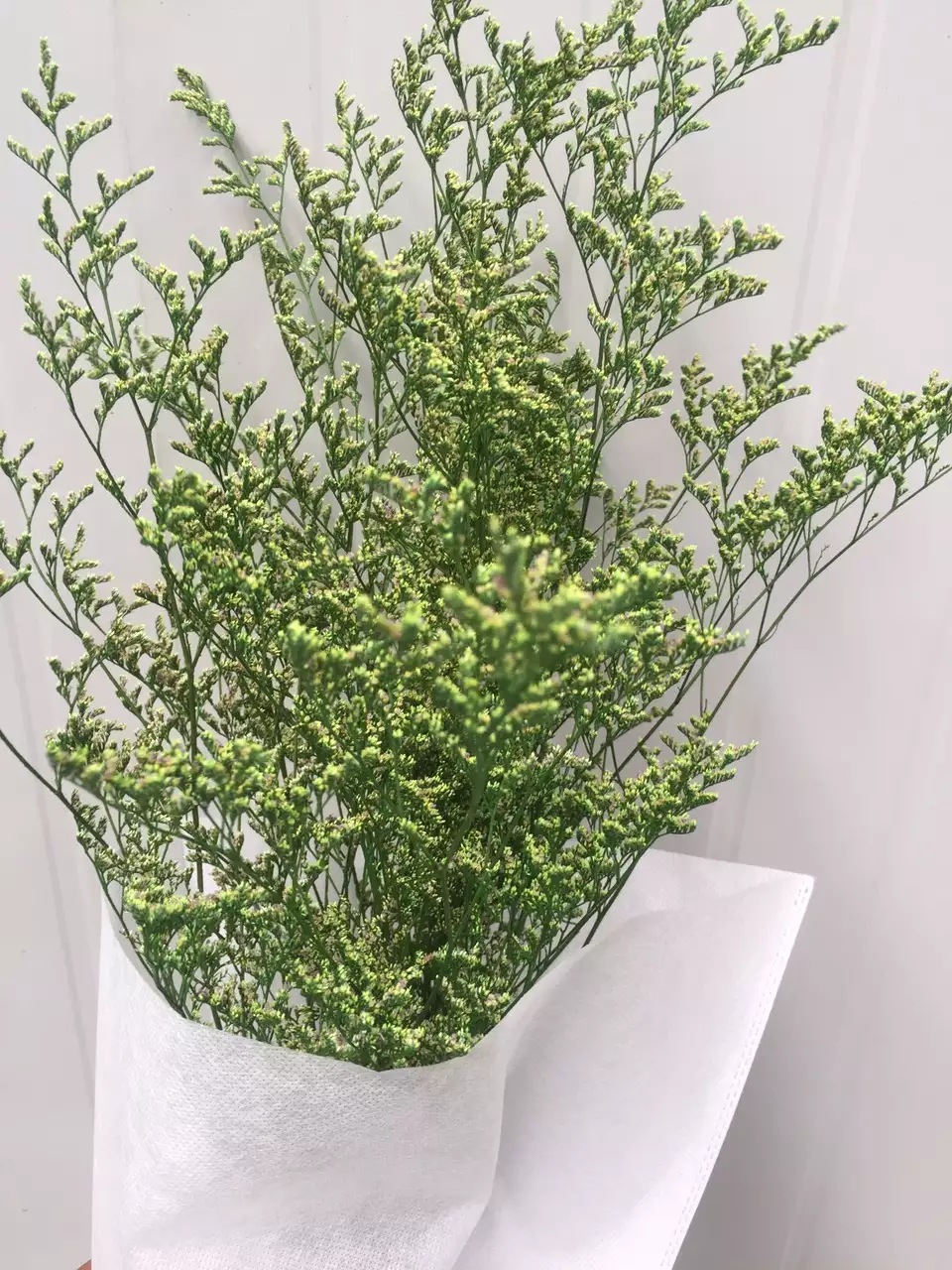 云南厂家批发天然干花配材永生花花束真花情人草家居客厅装饰摆件