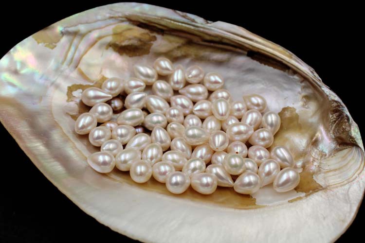 新品 纯天然水滴梨形淡水珍珠 白色强光半孔颗粒祼珠 diy散珠批发