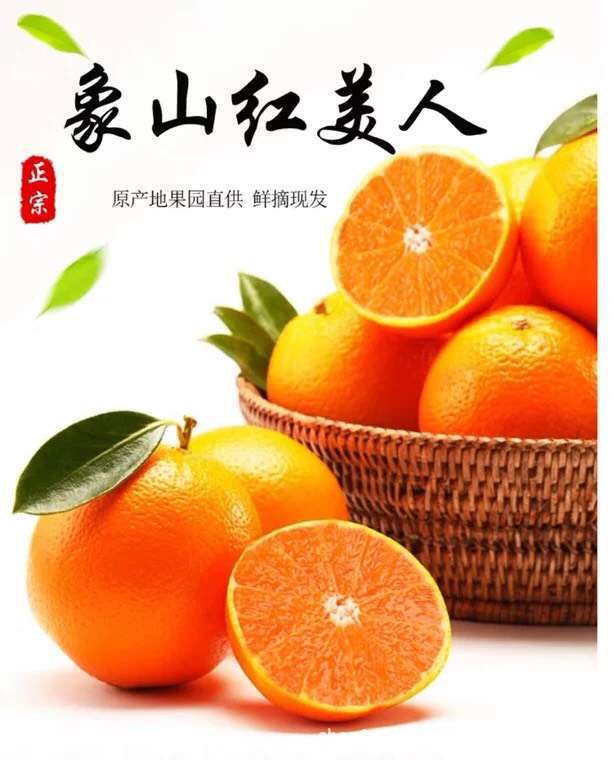 【现货12个礼盒装】象山红美人产地直发送礼首选有机水果净果6斤