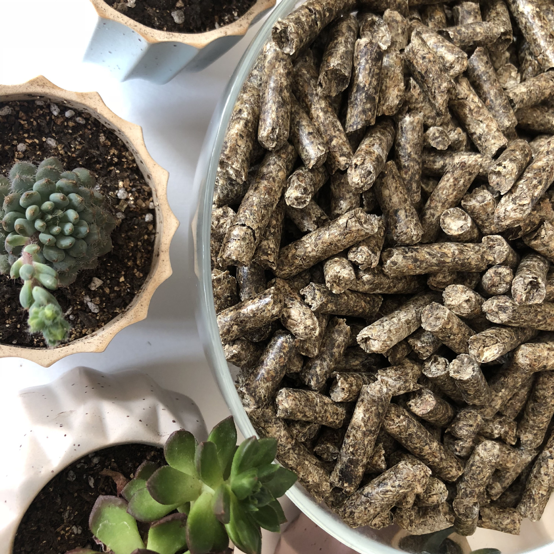 甜菜颗粒粕 内蒙甜菜颗粒粕 甜菜渣 饲料添加剂 饲料