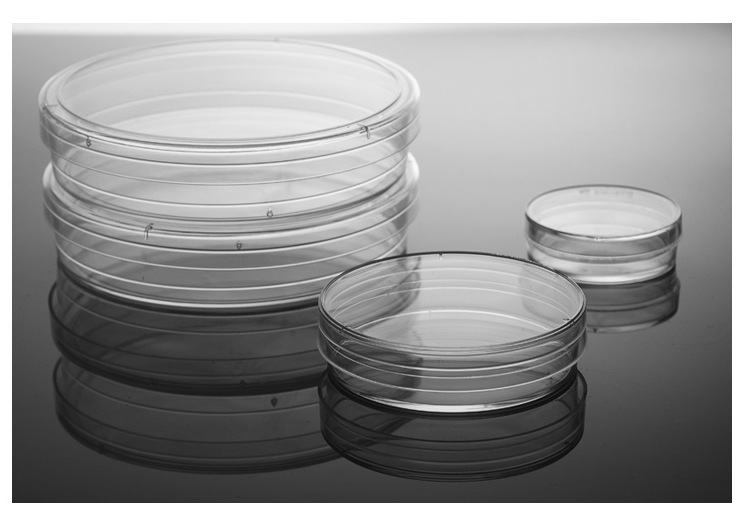 labserv高透明度聚苯乙烯真空等离子tc表面无菌细胞组织培养皿