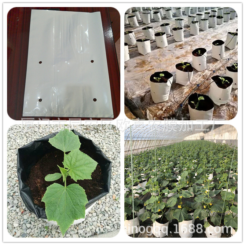 厂家生产供应黑白种植袋 辣椒 哈密瓜 番茄等果蔬无土栽培生长袋