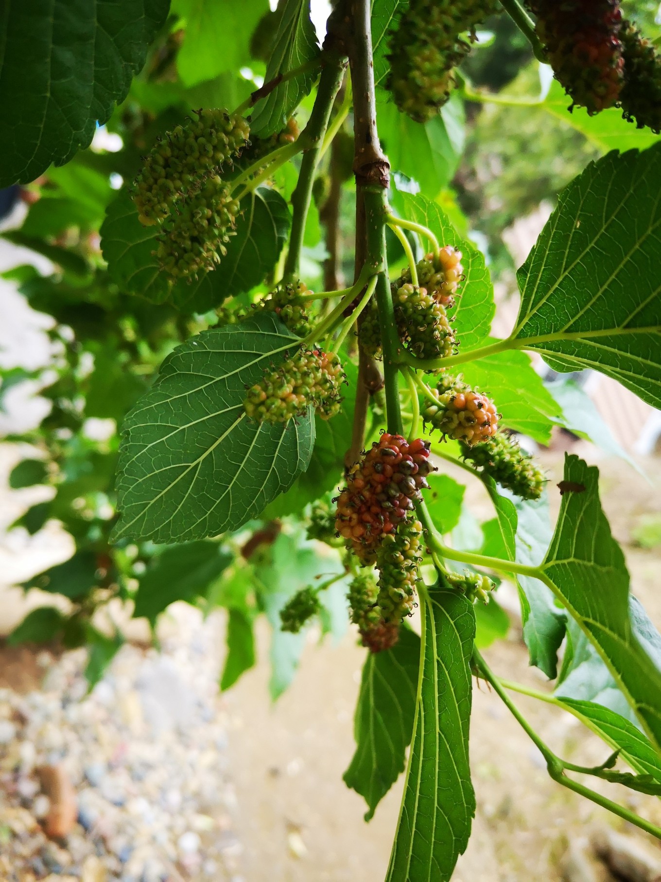 转载还带得动与四个亲妈的五一自驾之旅