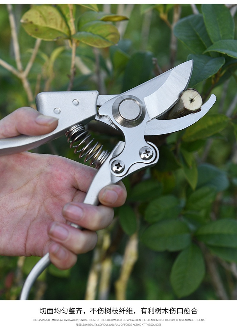 花草修剪枝剪刀园艺进口钢家用工具剪子修剪粗树枝剪刀果树花剪