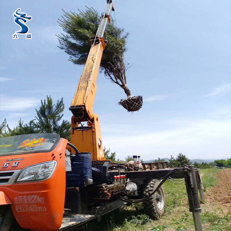 3吨背树车背树吊机三轮移树吊九麟机械厂家定制方便快捷