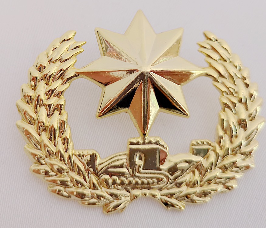 保安物业酒店服饰配件治安五角八角帽徽新品新式徽章 新老款 帽徽