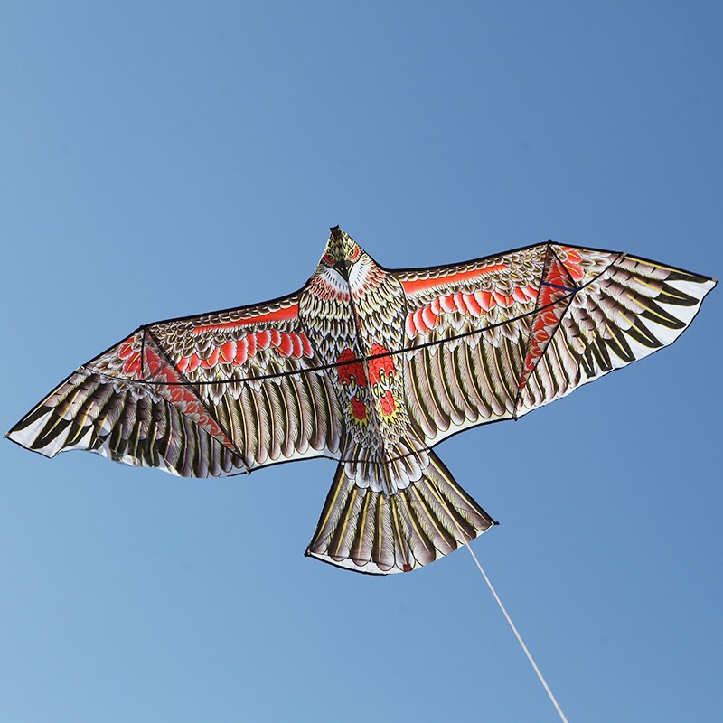 老鹰风筝前撑杆风筝新款成人儿童发风筝惊鸟驱鸟易飞潍坊风筝厂