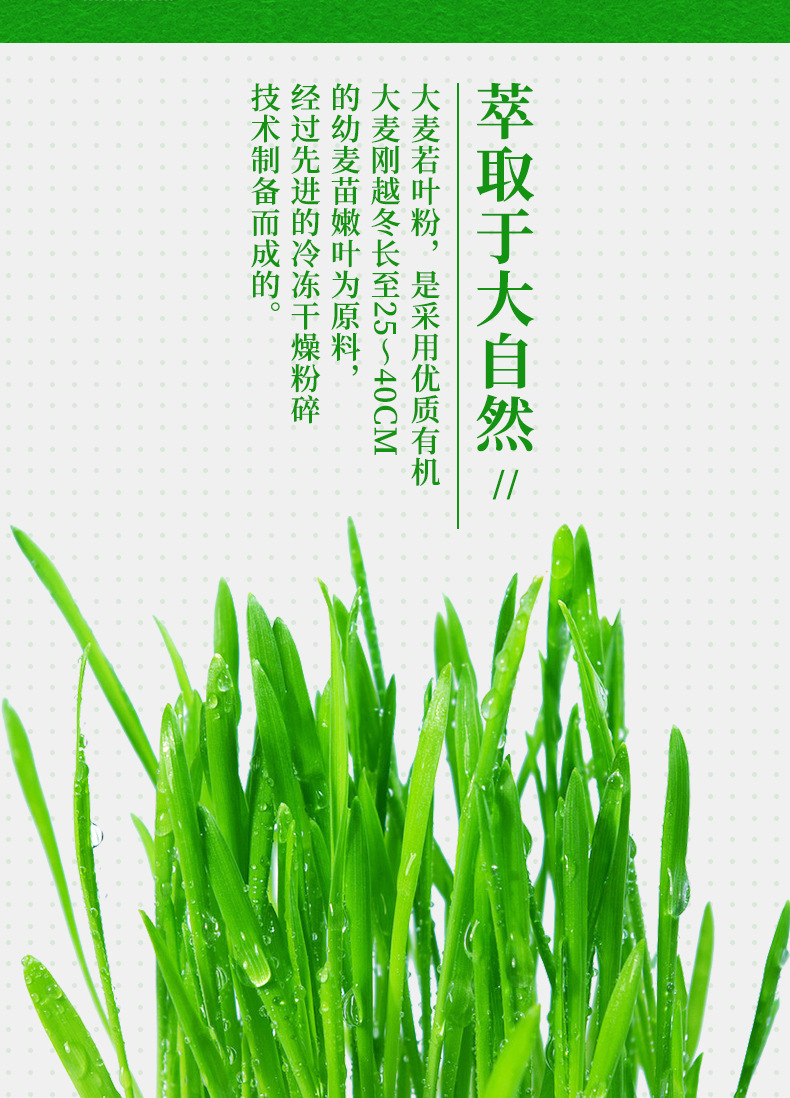 大麦若叶青汁蚂蚁odm 代餐酵素青汁粉 oem贴牌代加工大麦苗青汁粉