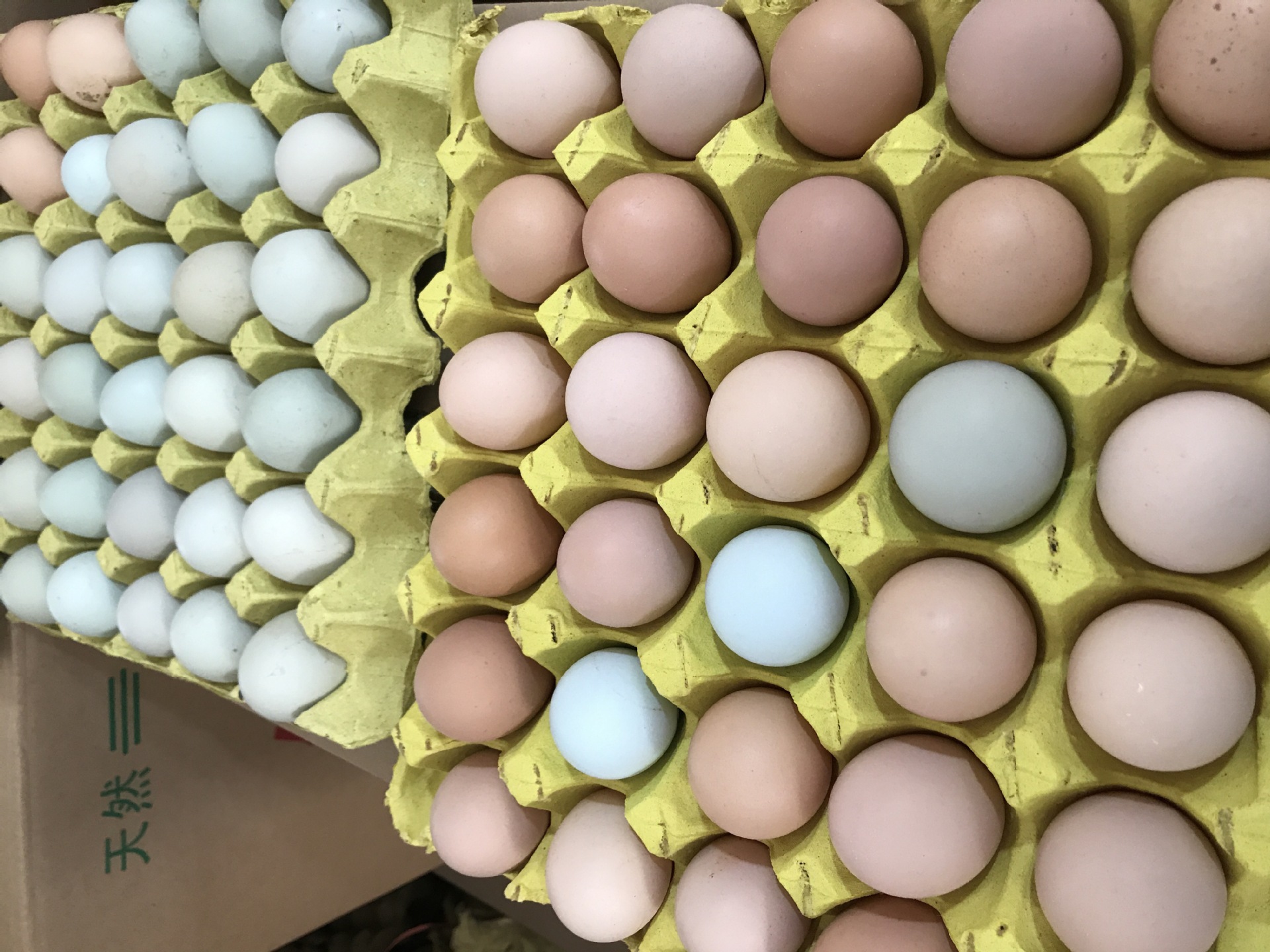 花凤草鸡蛋蛋黄大480枚/箱净重38斤—46斤蛋清粘稠日捡日发