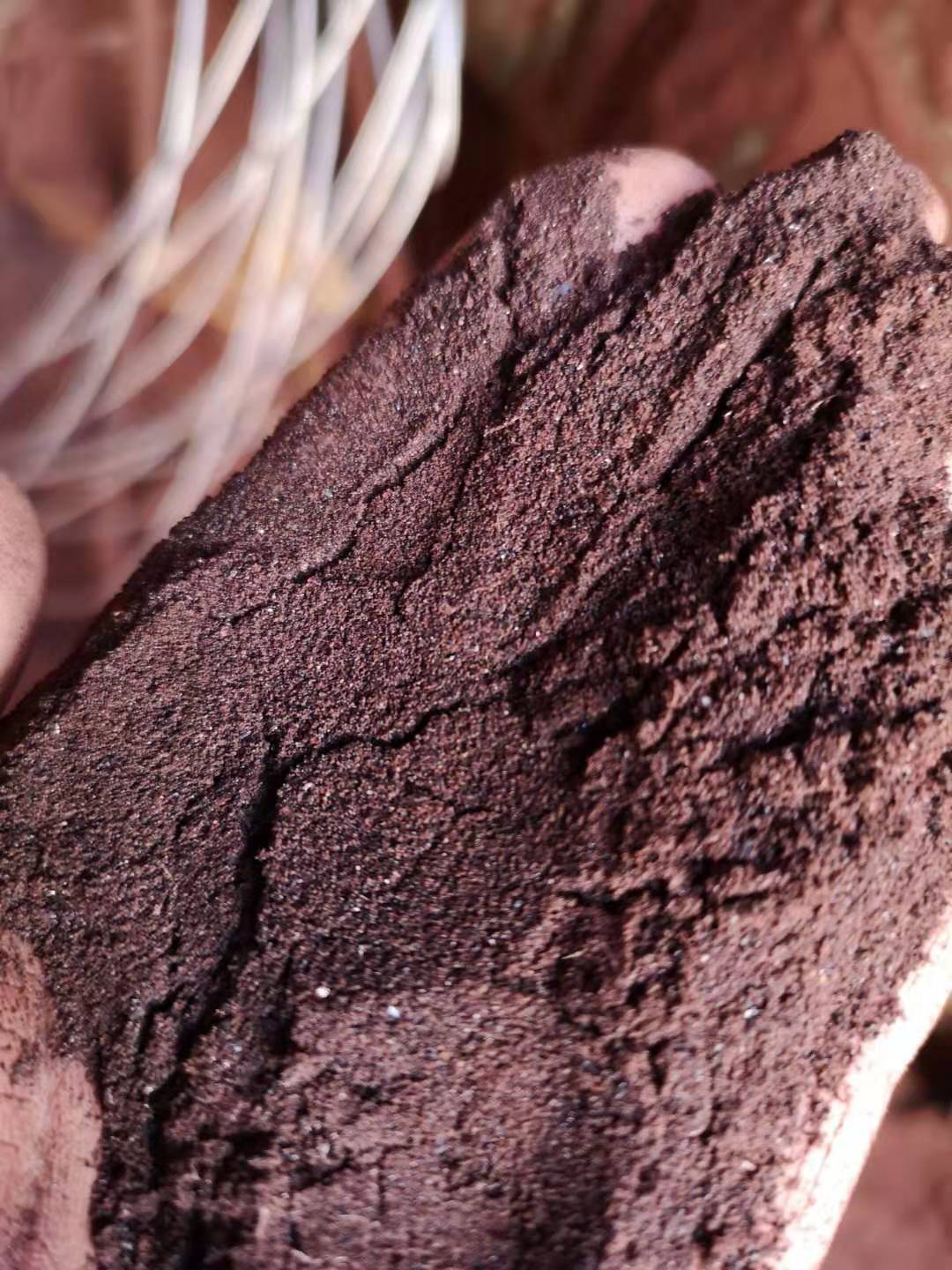 血粉 膨化血粉原粉饲料级 现货血粉膨化血粉原粉