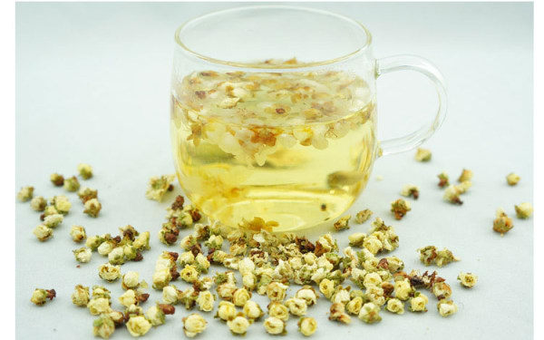 新白梅花茶绿萼梅绿梅花茶100g