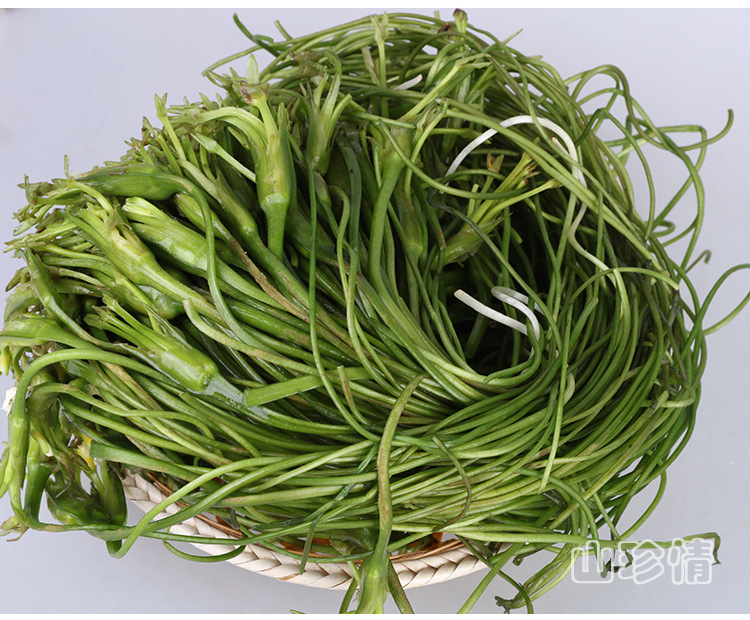 云南大理特产 洱海海菜 非海带 水性杨花海白菜1千克批发特色蔬菜