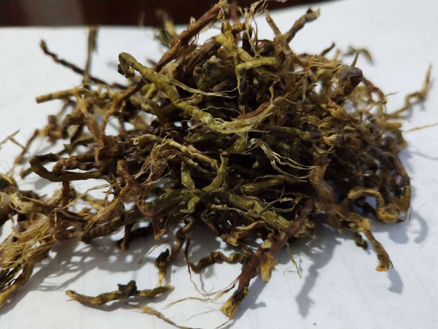 飒枫供应山蜜草茶 长寿草 山密草 山蜜草 山蜜茶新货 大货批发