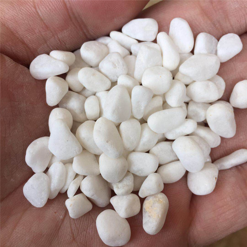 白色石头 水洗石子 白石子 园艺造景白卵石 白色鹅卵石