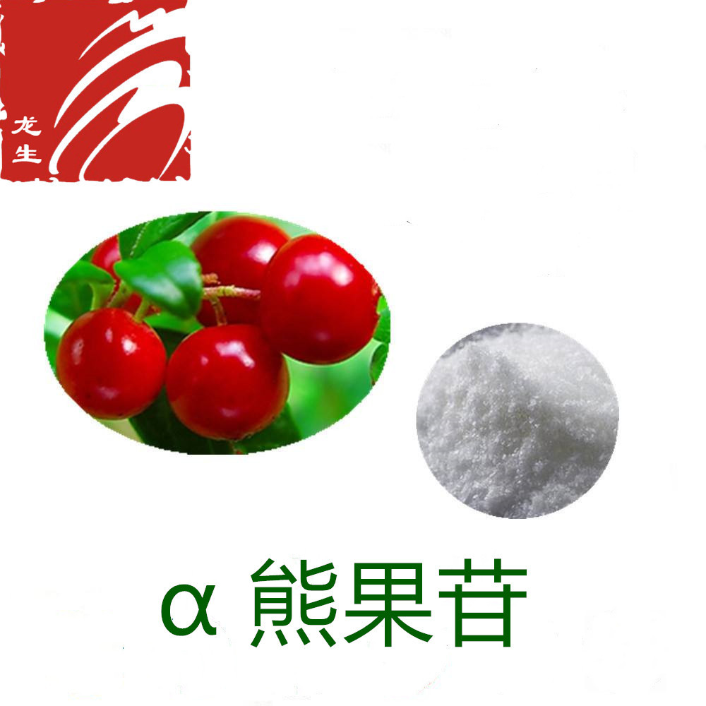 熊果叶提取物 α-熊果苷99% 厂家现货 1kg联系客服 量大优惠