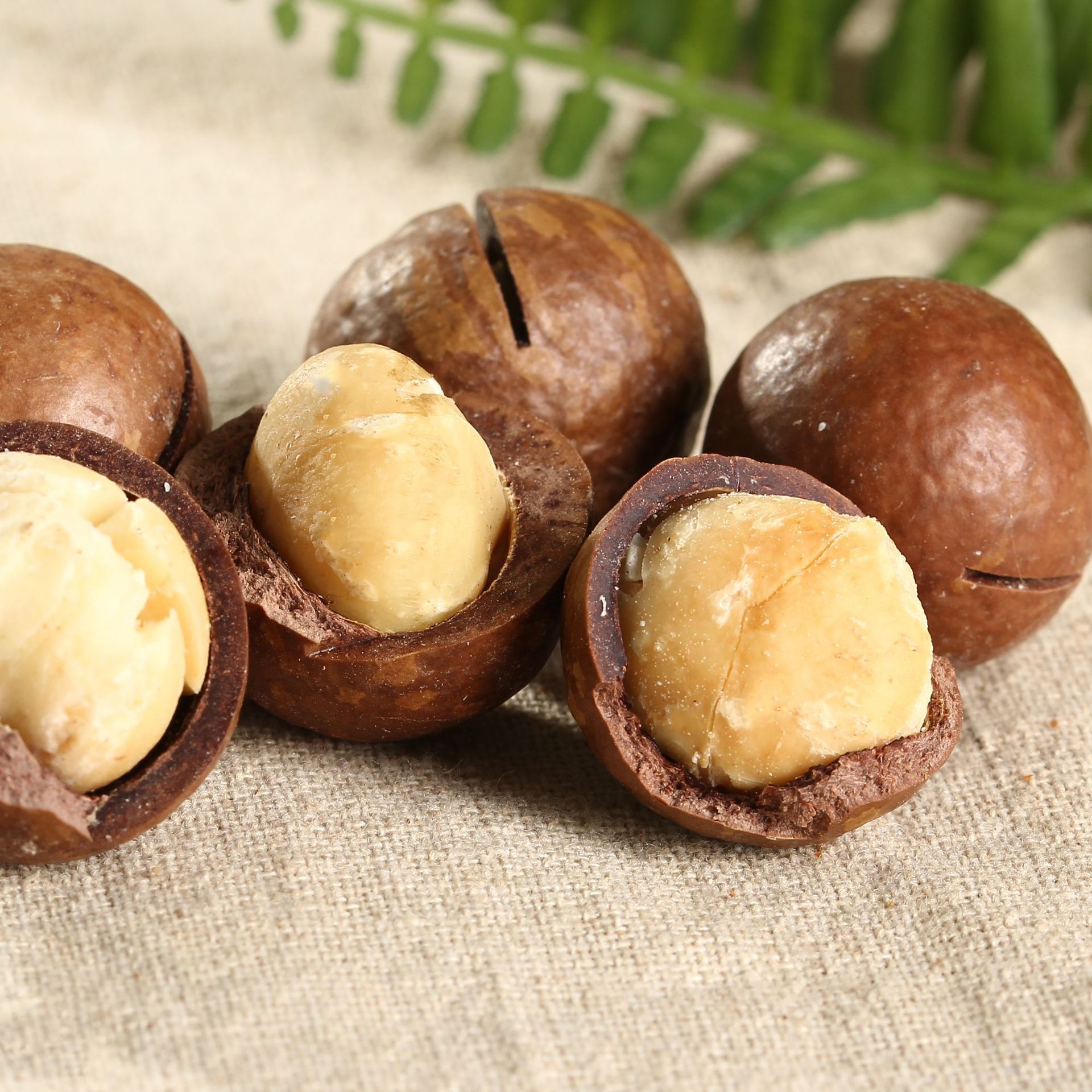 新疆干果坚果大颗粒夏威夷果休闲小零食奶油味夏果送开口器500g