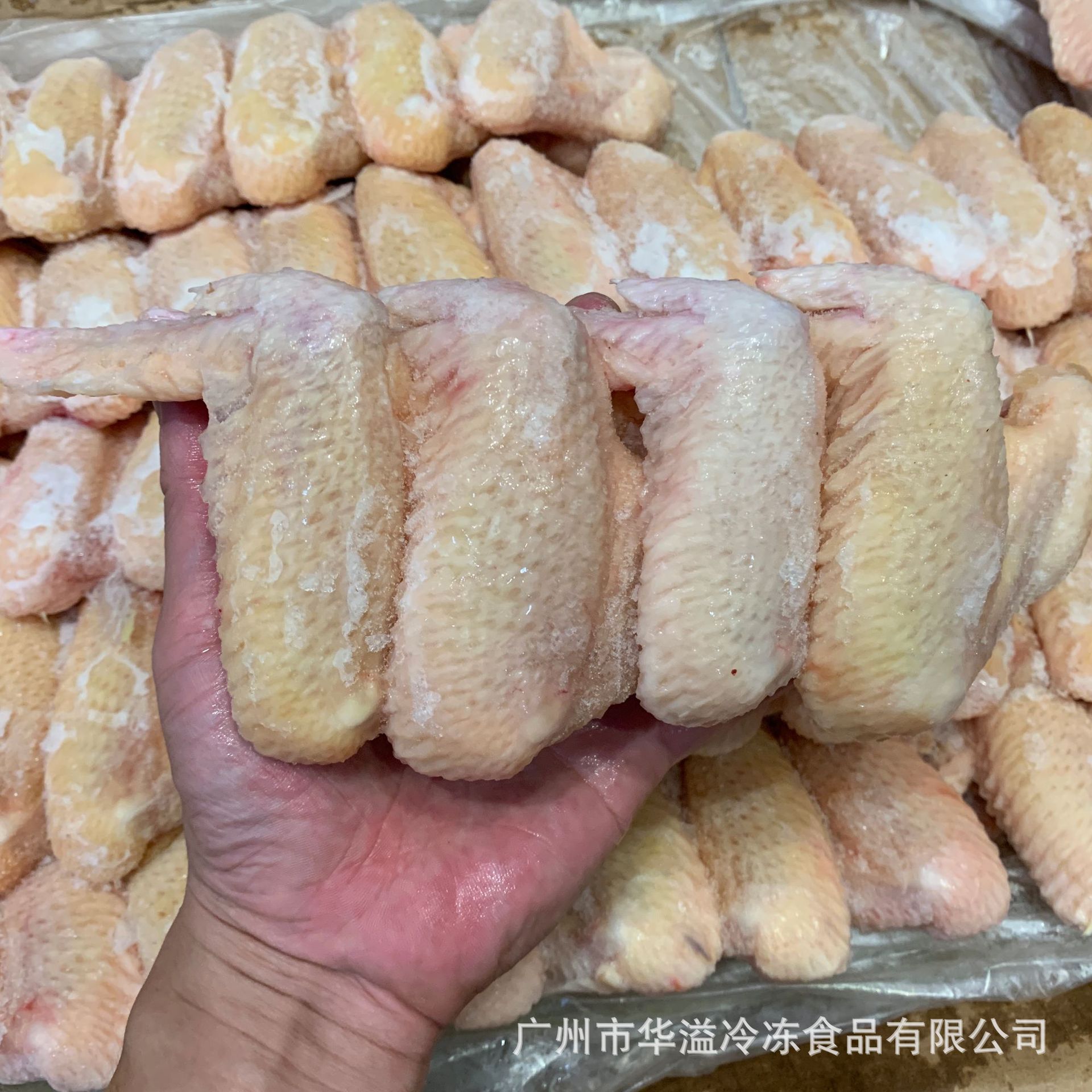 冷冻鸡全翅 90-100克/只 12斤/箱 冷冻烧烤用鸡翅 鸡全翅