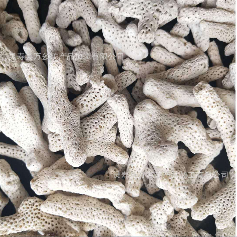 厂家供应过筛珊瑚砂珊瑚石 多孔石珊瑚骨水族滤材珊瑚虫