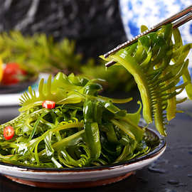 大连特产海芽菜 眉芽菜睫毛菜 盐渍海藻火锅食材工厂直供餐厅批发