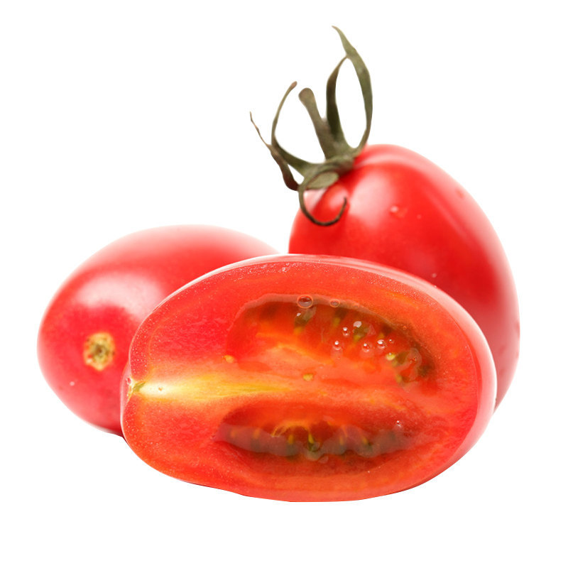 福建漳州樱桃小番茄圣女果 玉女新鲜水果酸甜5斤批发非海南千禧