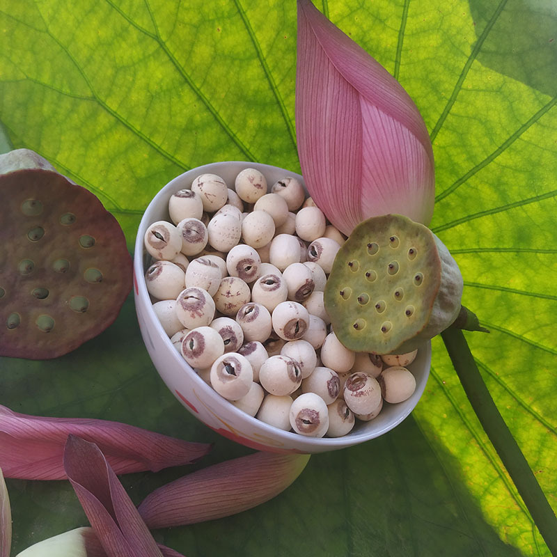 湖南湘潭特产寸三莲500g有芯磨皮白莲子带芯湘莲子米莲子干货批发