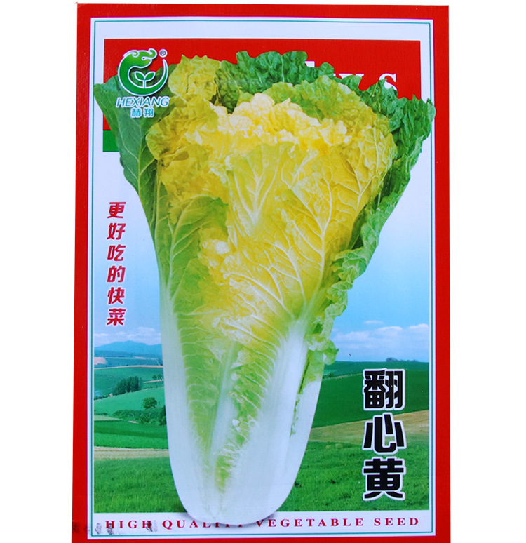 翻心黄小白菜种子 农田菜园高产易种早熟小白菜快菜种子蔬菜种子