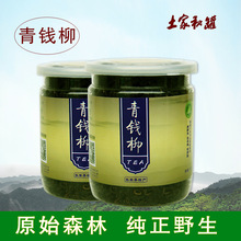 2023年新货森林青钱柳嫩芽PET罐装茶张家界特产原产地一手货源