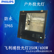 飞利浦投光灯RVP350 250W 400W钠灯黄光户外防水IP65泛光灯