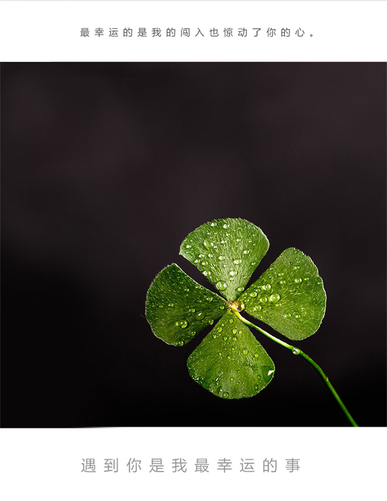 原创蓝色四叶草情侣戒指 韩版滴胶开口可调节简约指环 男女一对