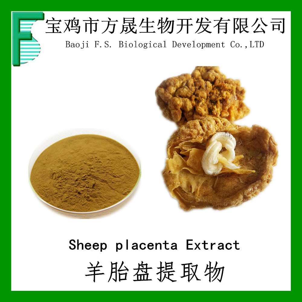 羊胎盘提取物羊胎盘冻干粉101现货供应zihecheextract