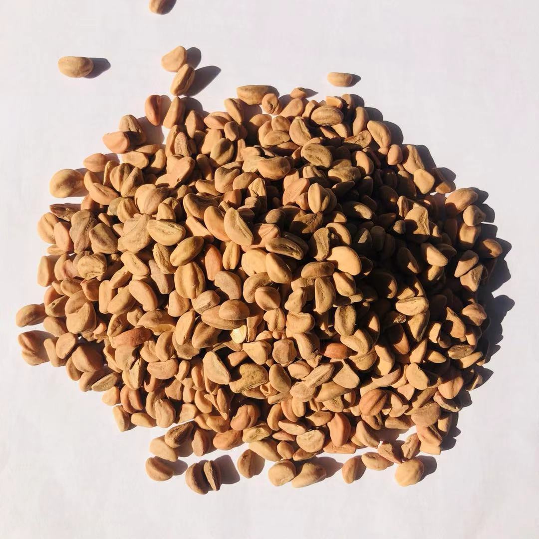 水洗山楂籽 山楂子 汽车坐垫枕头填充物 干净新货 量大从优