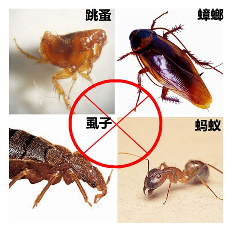 柏松杀虫粉剂跳蚤粉杀虫剂猫狗家用床上杀跳蚤灭虱子药40克 包邮