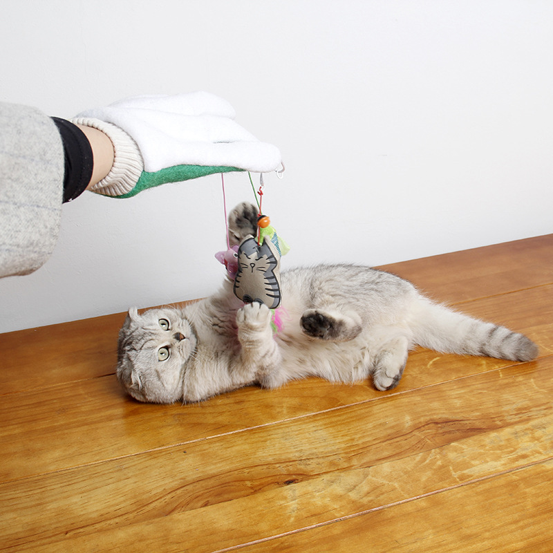 吉仔仔宠物魔术手套厂 猫咪用品 五指逗猫手套 猫玩具 撸猫神器