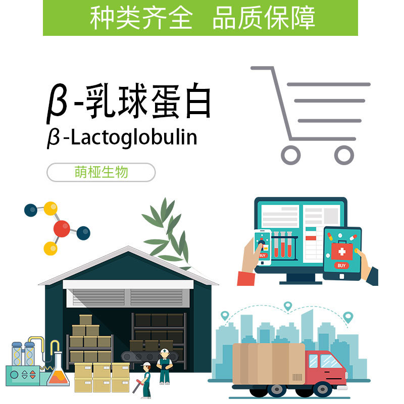 β-乳球蛋白 9045-23-2 50mg