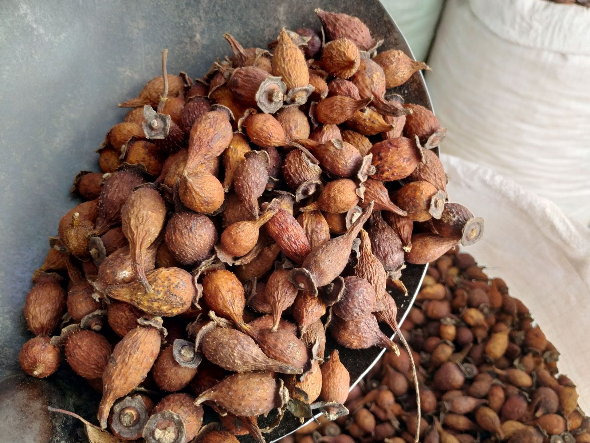 金樱子野生榆子金罂子刺梨子优质中药材泡酒山石榴山鸡子产地批发