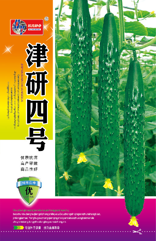 纯丰精选韩育津研四号种子约4克早熟脆嫩清香黄瓜青瓜种子蔬菜种