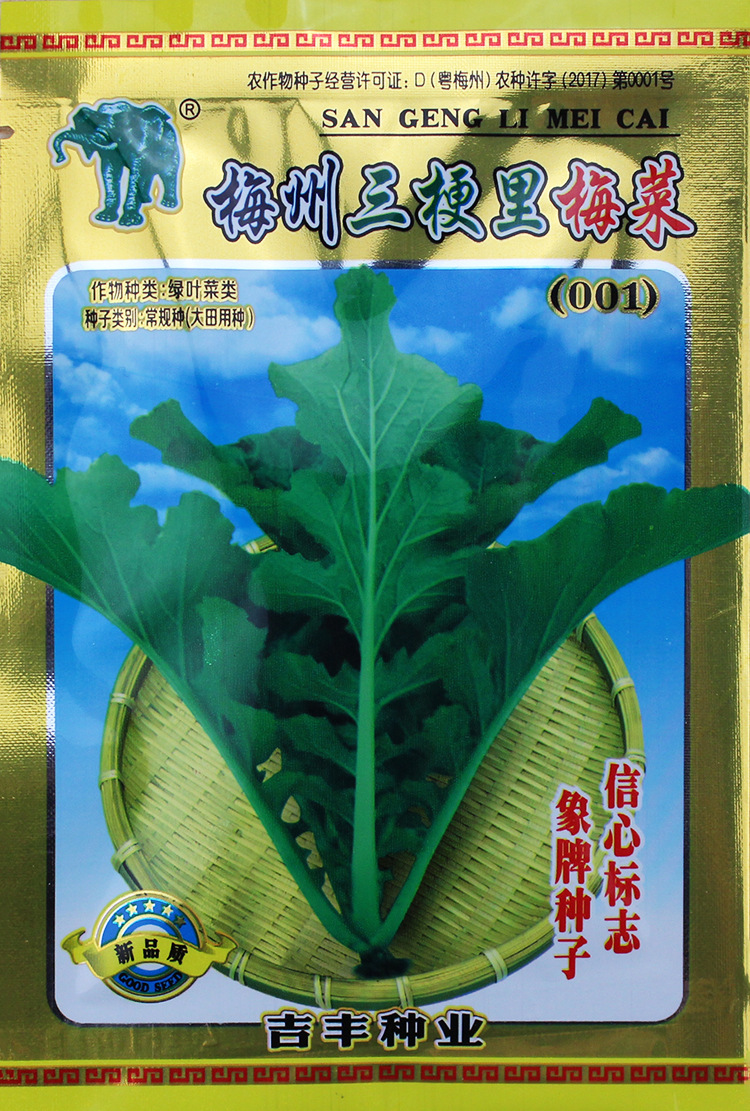 梅菜种籽梅干菜种子蔬菜秋冬季菜籽广东青菜南方四季籽种孑菜种天