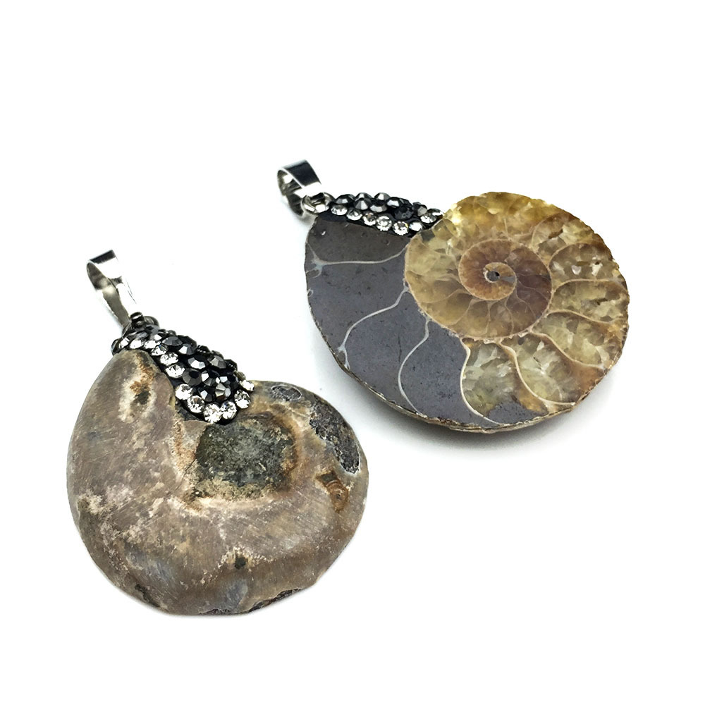 天然贝壳化石海螺化石 斑彩螺切面螺戒指 吊坠 矿物标本 原石摆件